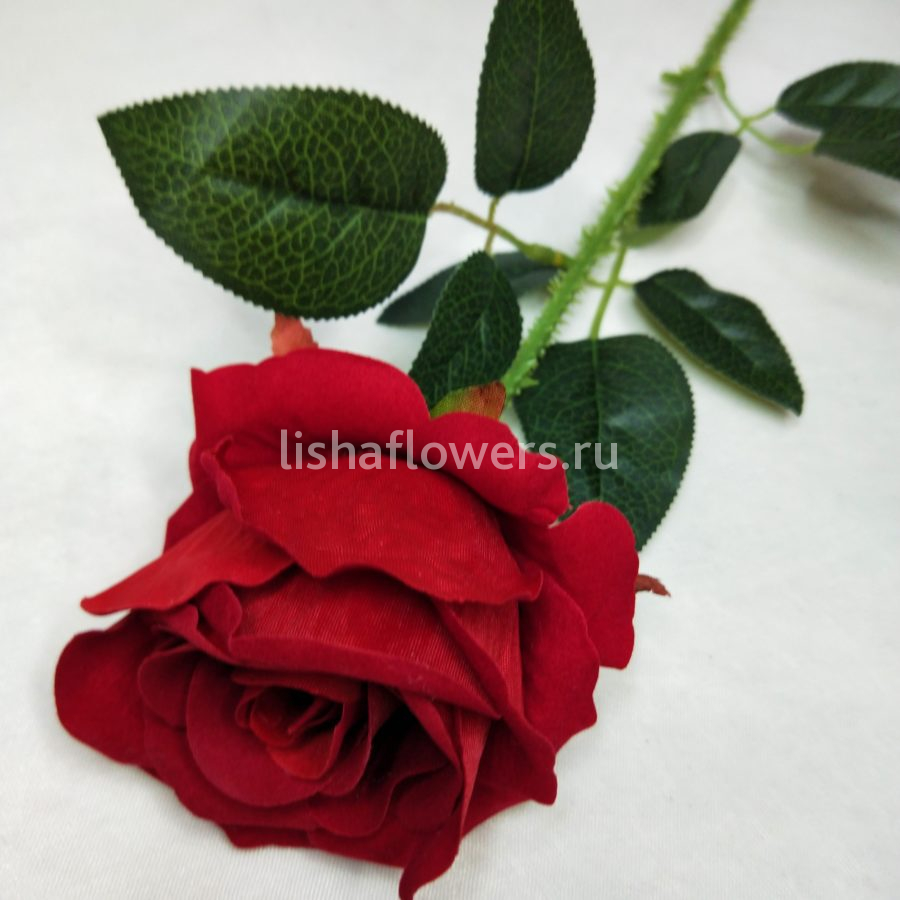 Роза с шипами 65 см. Арт.FFF